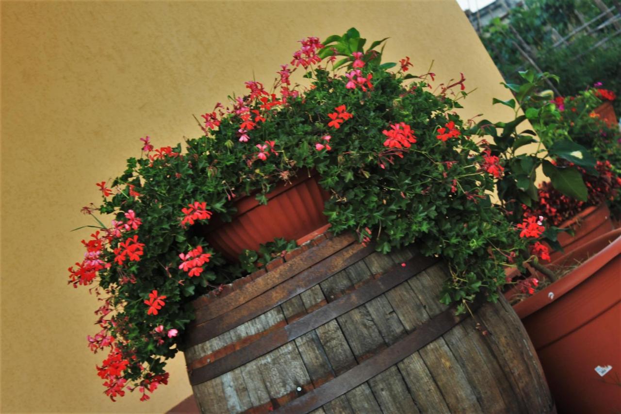 Bed and Breakfast Mansarda Fiorita à Abatemarco Extérieur photo