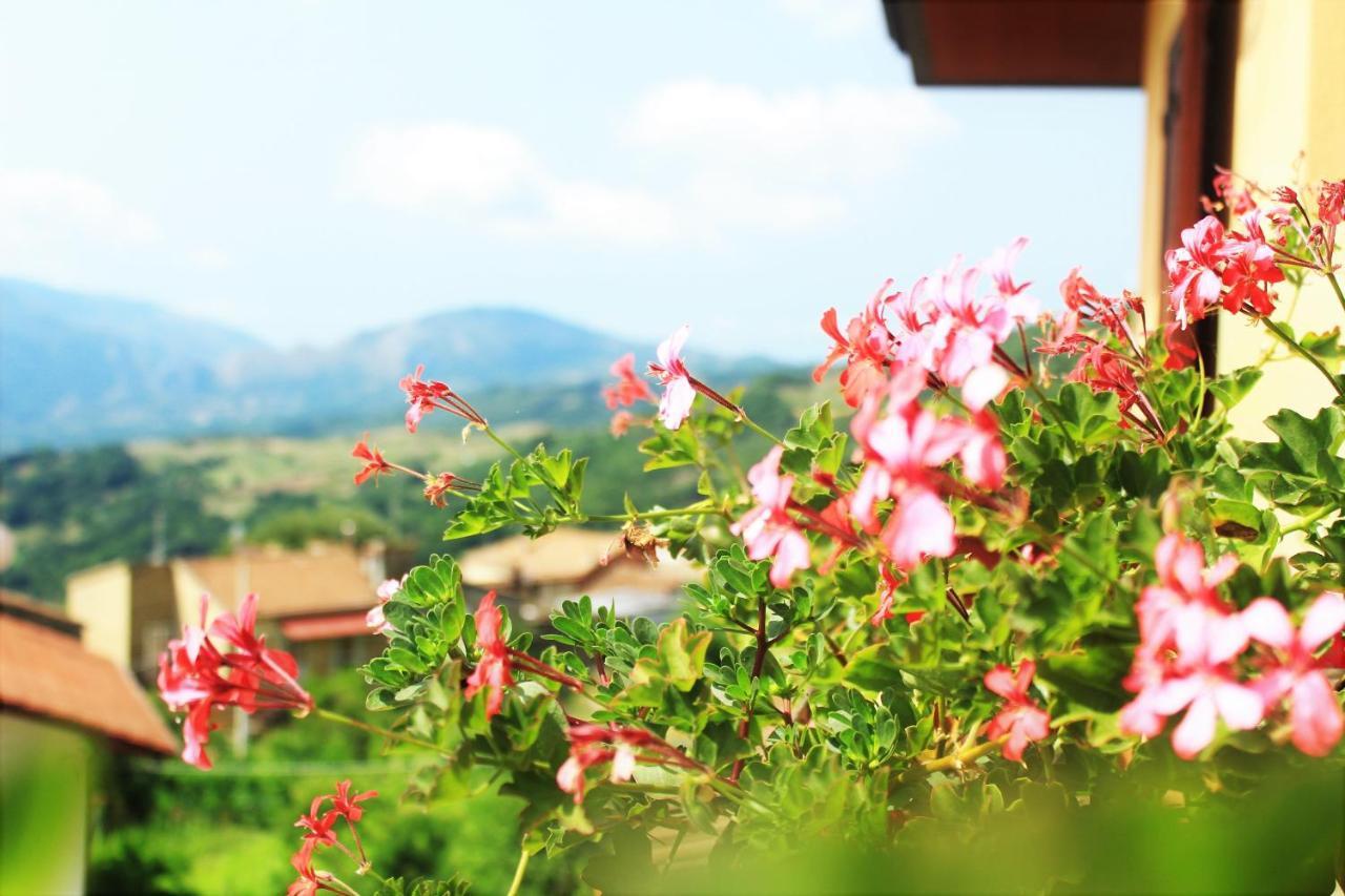 Bed and Breakfast Mansarda Fiorita à Abatemarco Extérieur photo